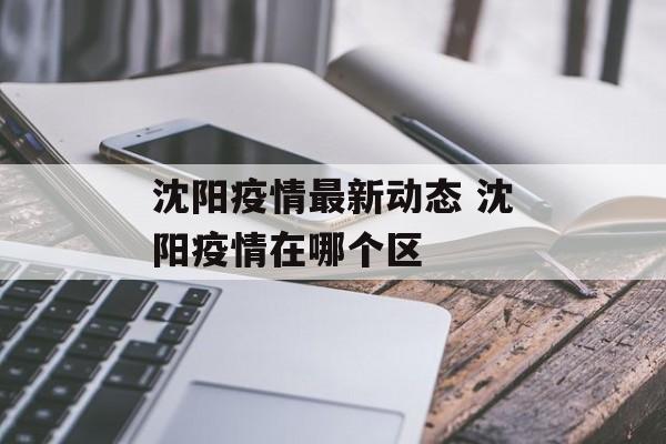 沈阳疫情最新动态 沈阳疫情在哪个区
