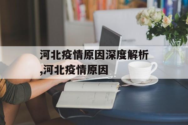 河北疫情原因深度解析,河北疫情原因